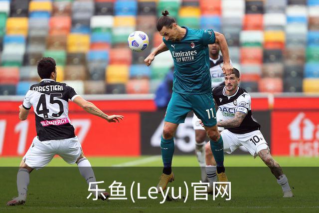 乐鱼(Leyu)官网公司介绍图